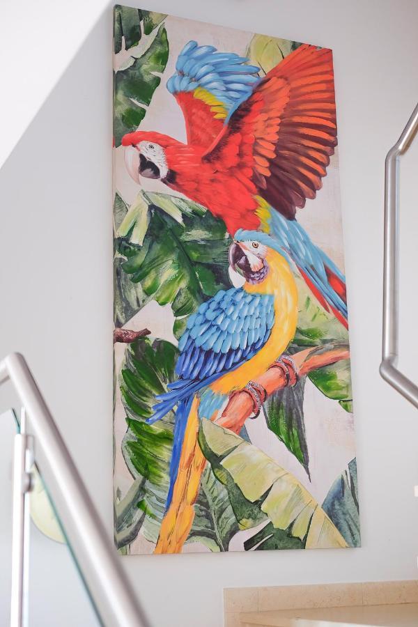 Amazing Views Casa Hummingbird Apartamento *